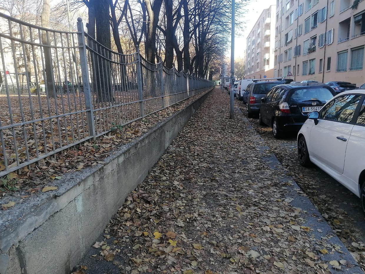 Le condizioni dei marciapiedi di via Alimonda