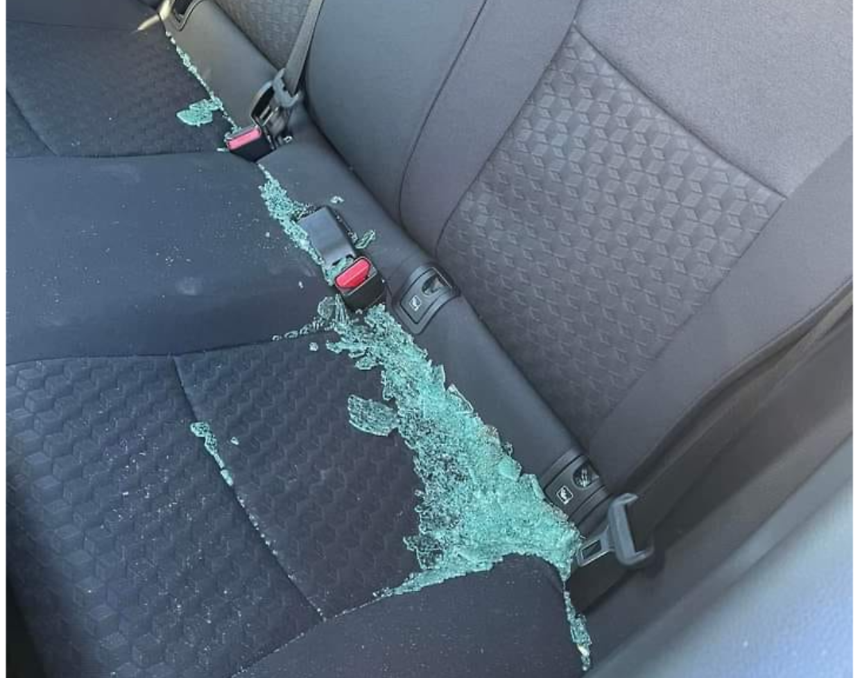 Auto vandalizzate vicino all'Area12