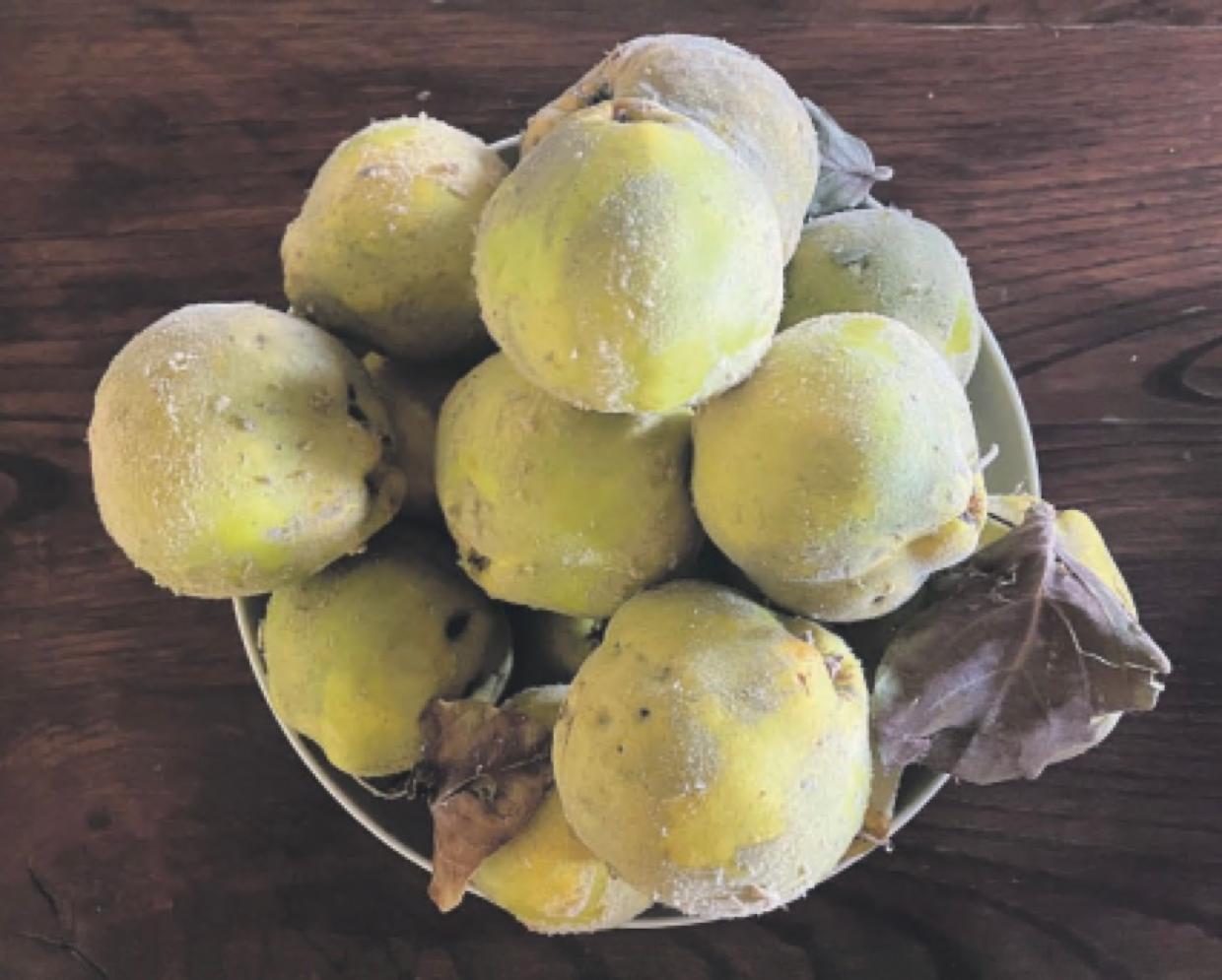Marmellata di mele cotogneBuona con pane o formaggi