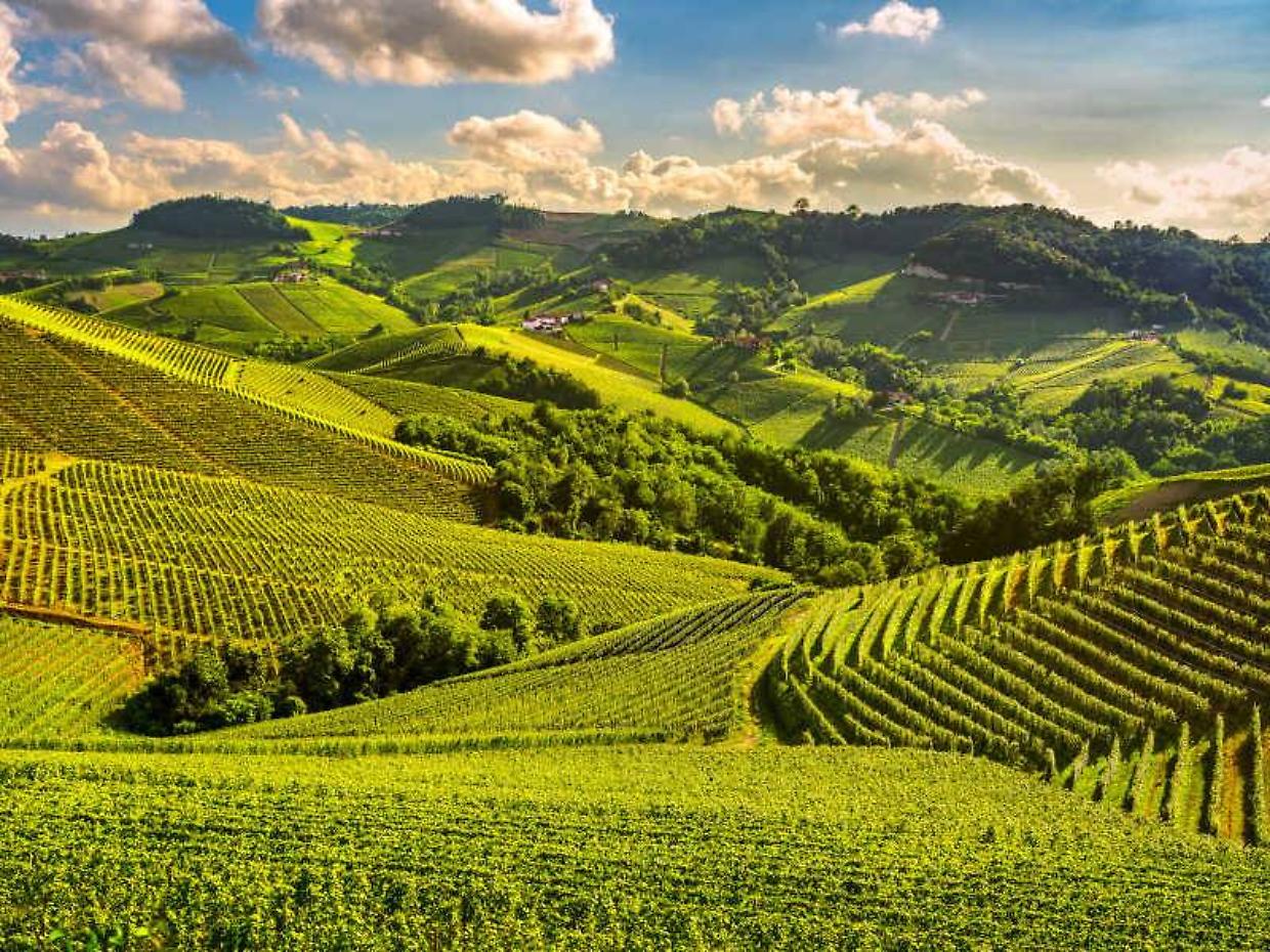 Uno splendido paesaggio delle Langhe