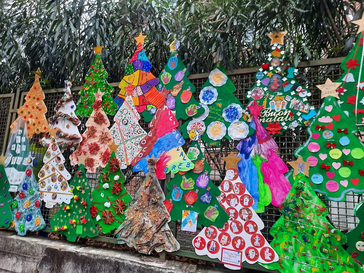 Il boschetto degli alberi di Natale 