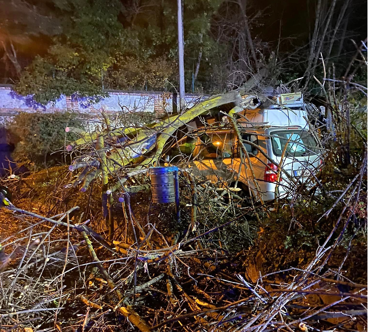 Paura a Venaria: un albero crolla su tre auto in via Paganini (immagine di repertorio)