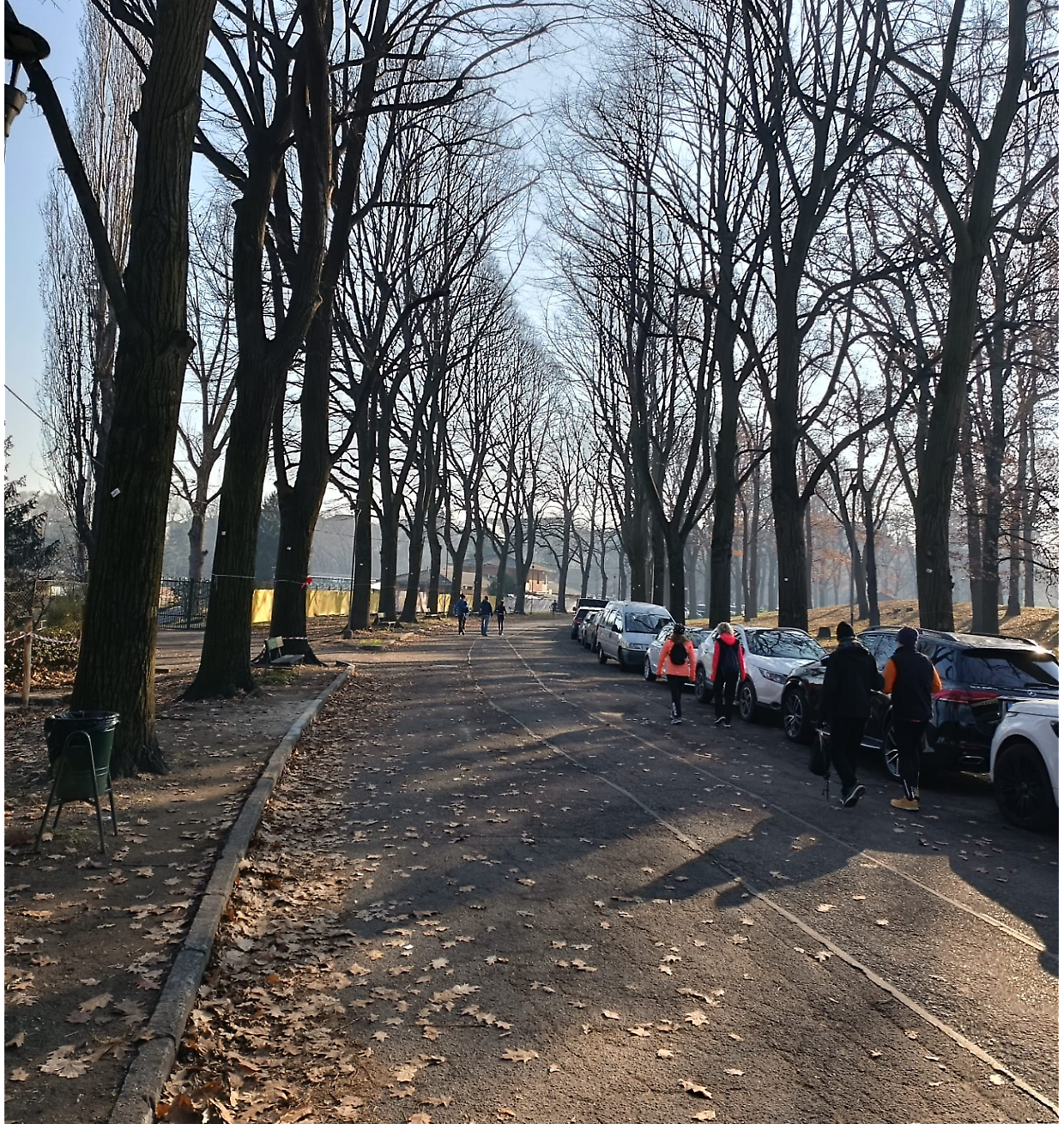 Il parco della Pellerina invaso dalle auto