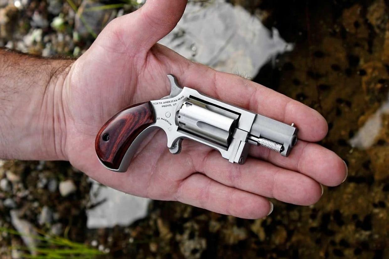 Lungo 10 centimetri, con 5 colpi e "ideale per il divertimento". Ecco cos'è il mini revolver del deputato
