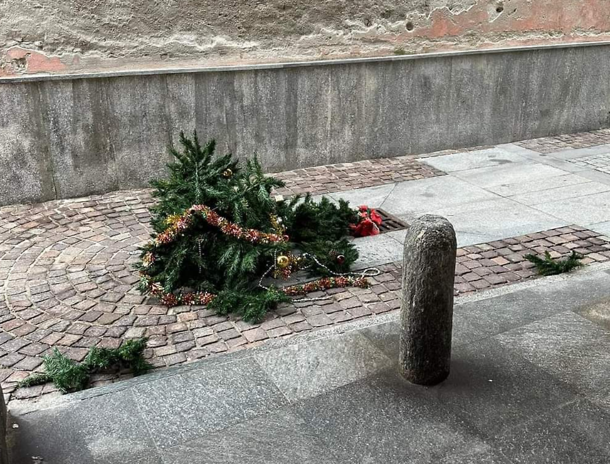 Anche gli alberi di Natale e gli addobbi nel mirino dei vandali