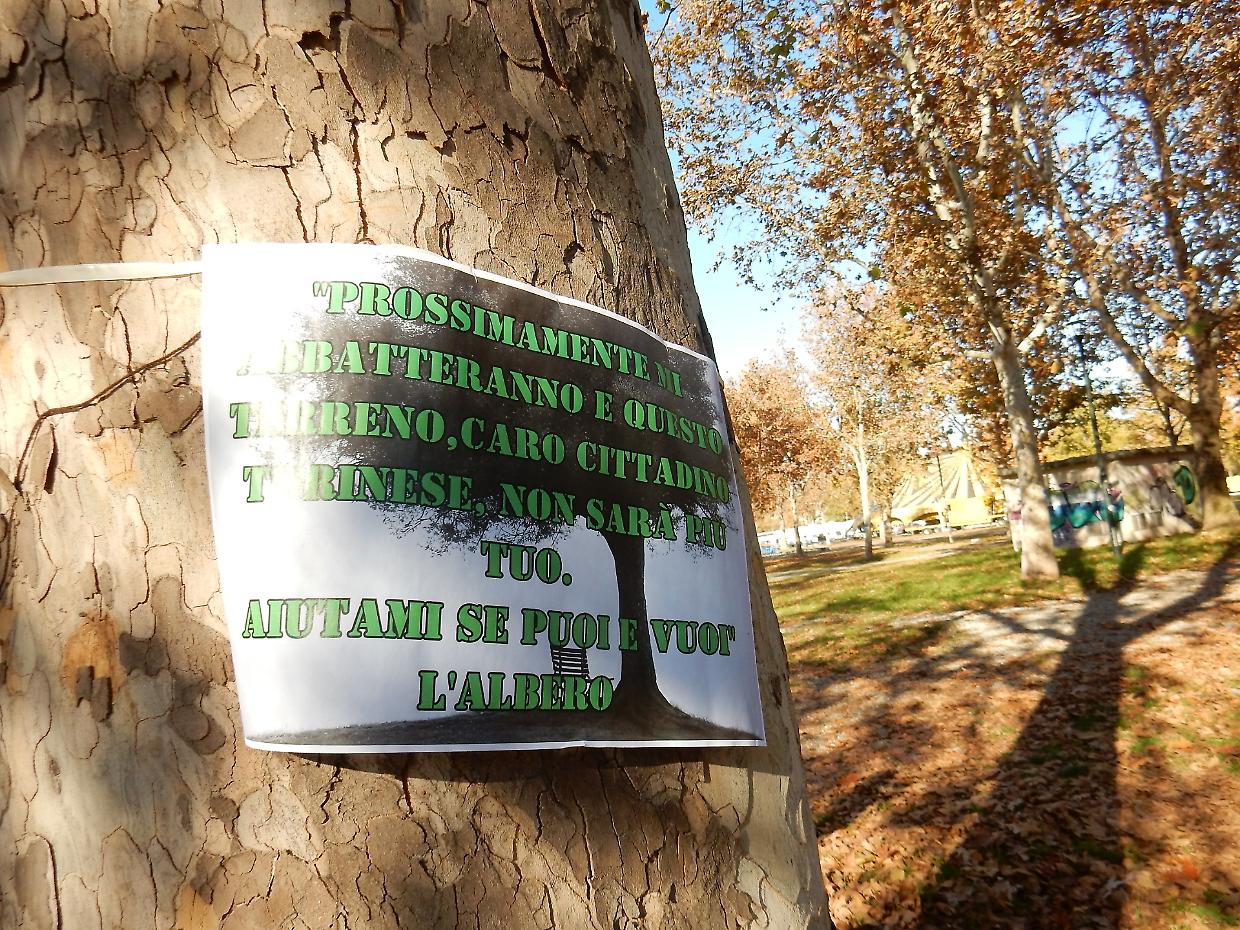 Protesta silenziosa sugli alberi della Pellerina