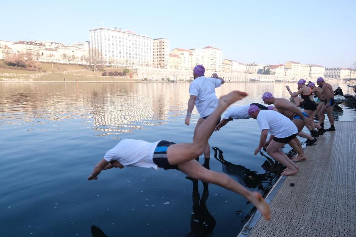 Il tuffo degli Orsi Polari nelle acque del Po