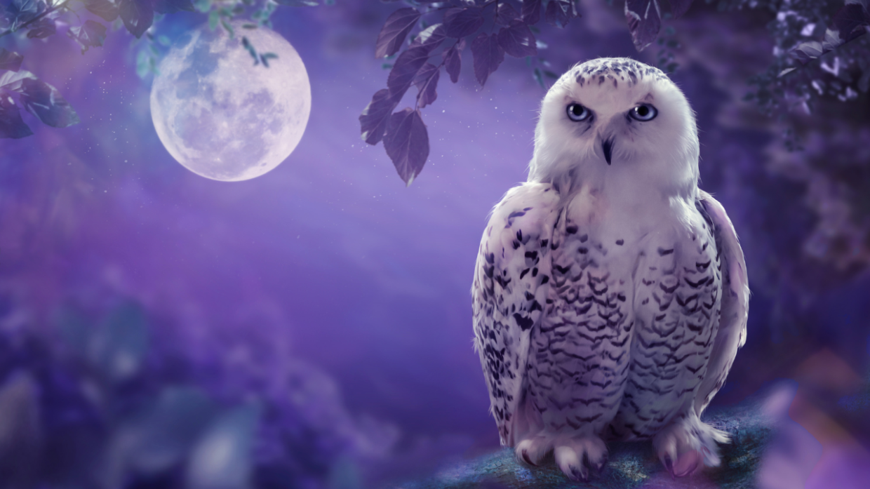 The Magical Music of Harry Potter: una serata di incanto e magia