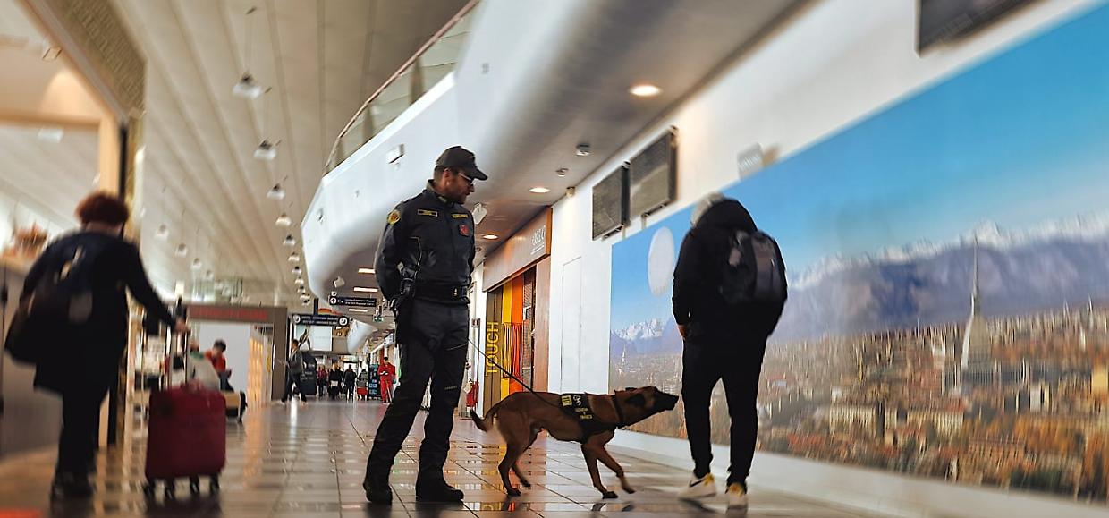Il fiuto del cane Escos fa arrestare 4 "corrieri delle banconote"
