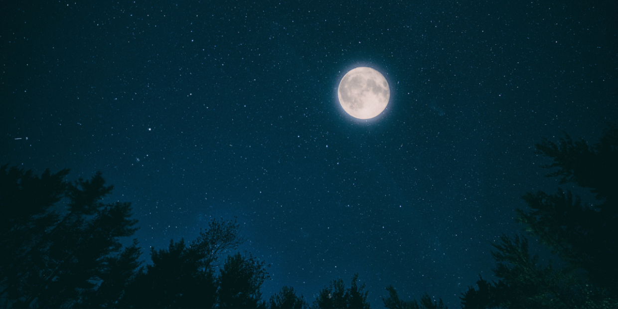 Sotto il cielo stellato: un incontro con la natura e la storia