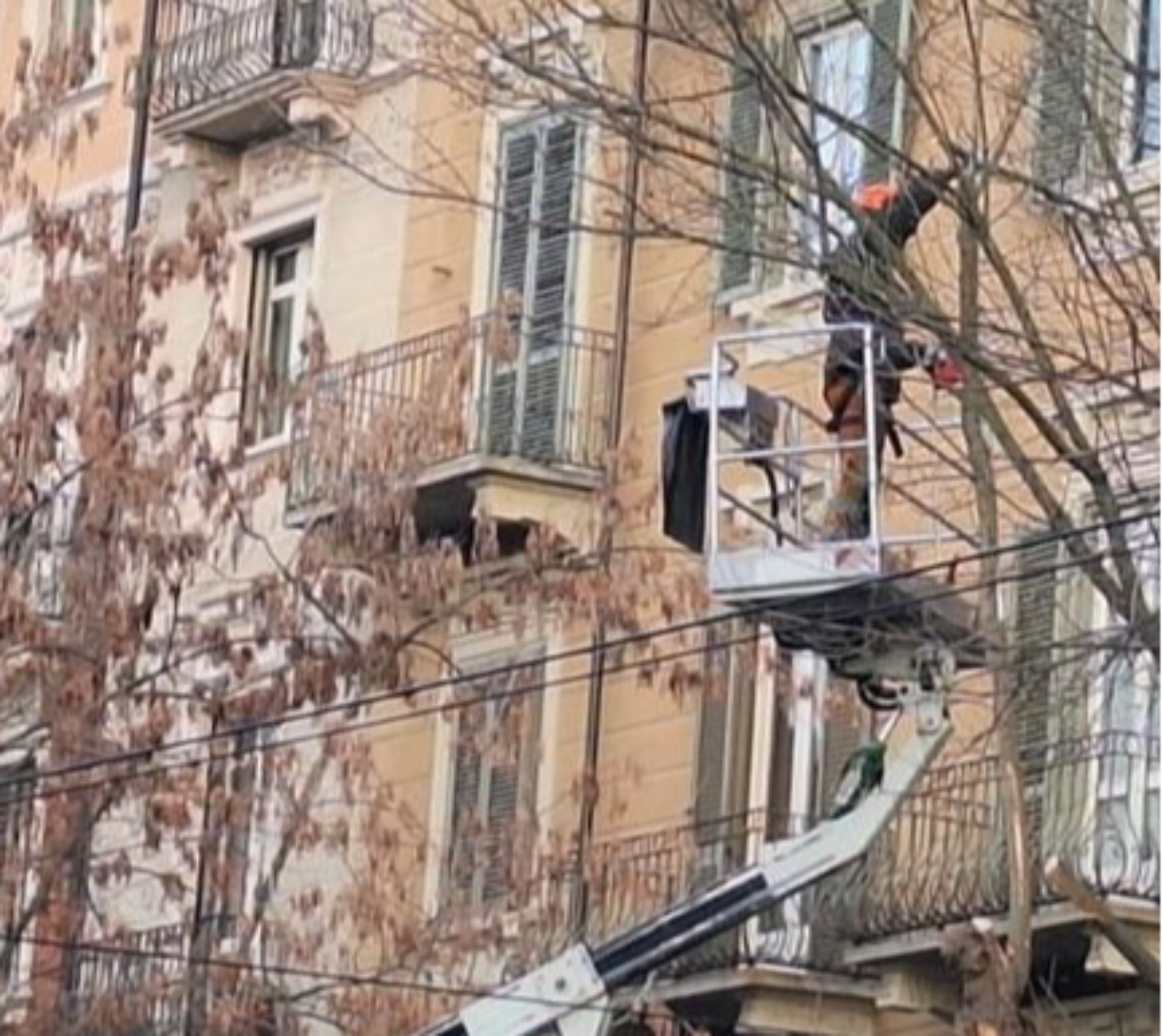 Tagliati gli alberi in corso Belgio
