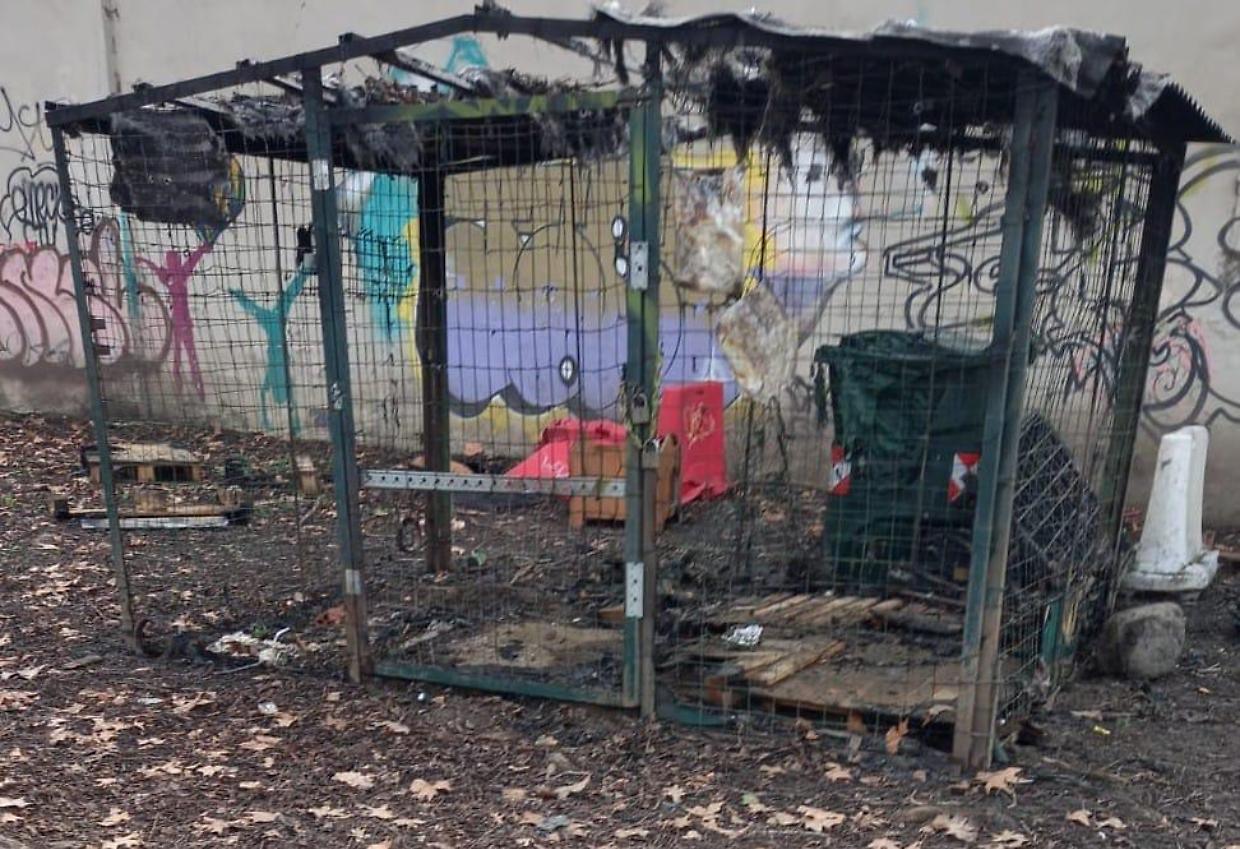 L'incendio alla casa dei gatti