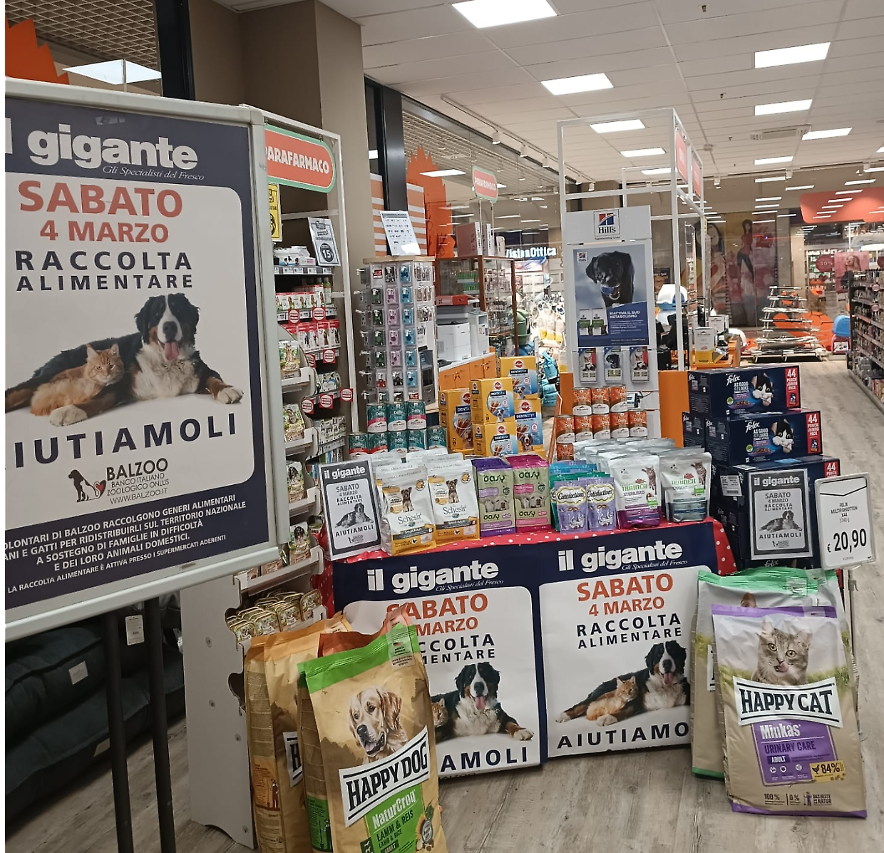 Il Gigante in aiuto dei 4 zampe