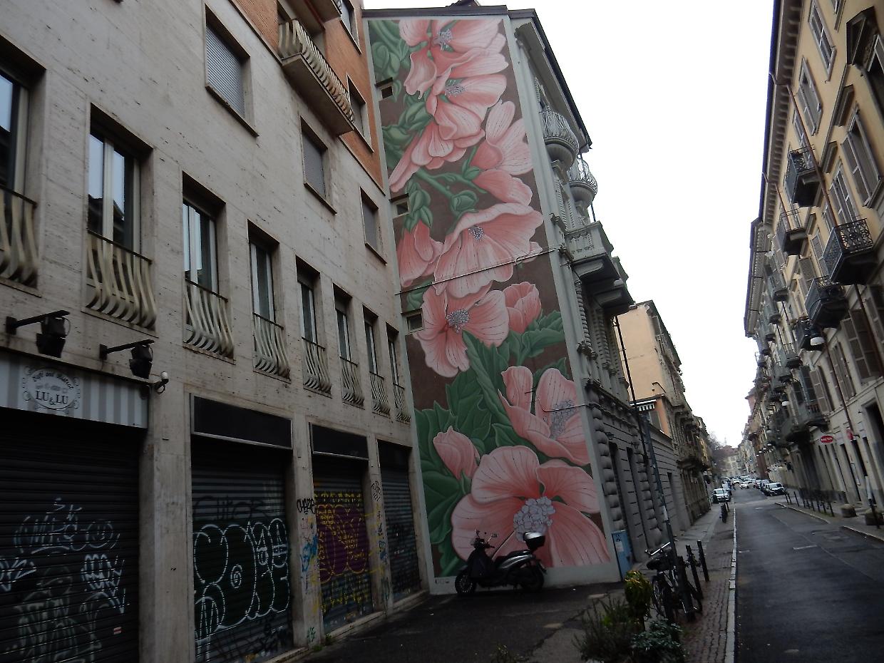 Il murales  botanico firmato dall’artista Doa Oa