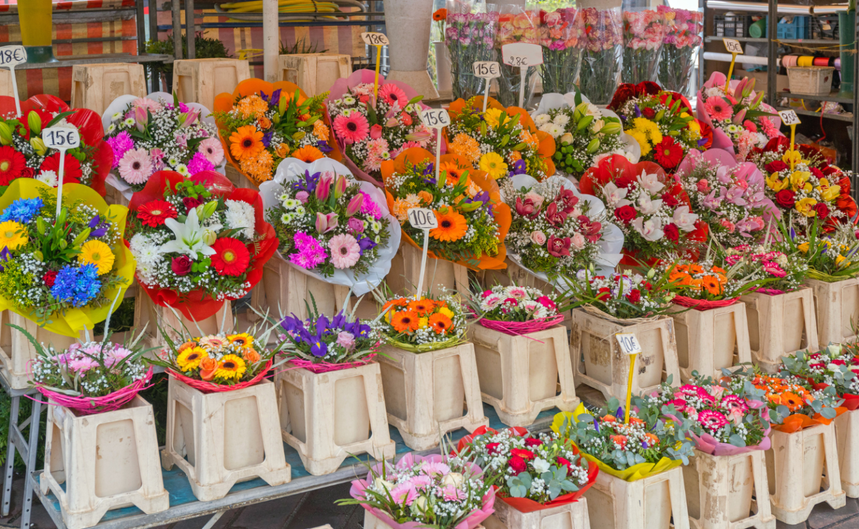 La primavera sboccia a Carmagnola: ritorna la mostra mercato Ortoflora & Natura