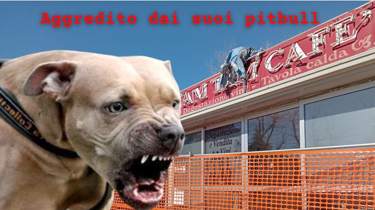 Senzatetto aggredito dai suoi cinque pitbull: grave in ospedale