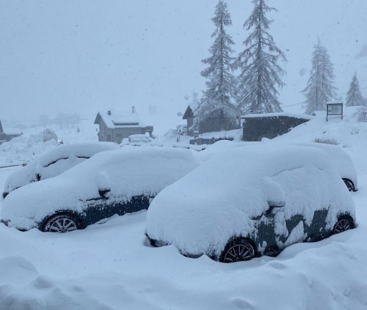 Neve 