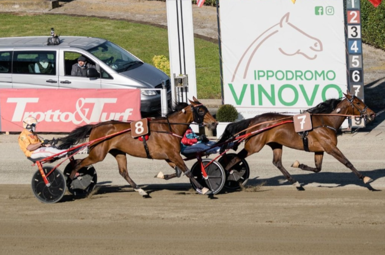 Terza riunione dell'anno all'Ippodromo: ecco il programma delle corse e degli eventi collaterali