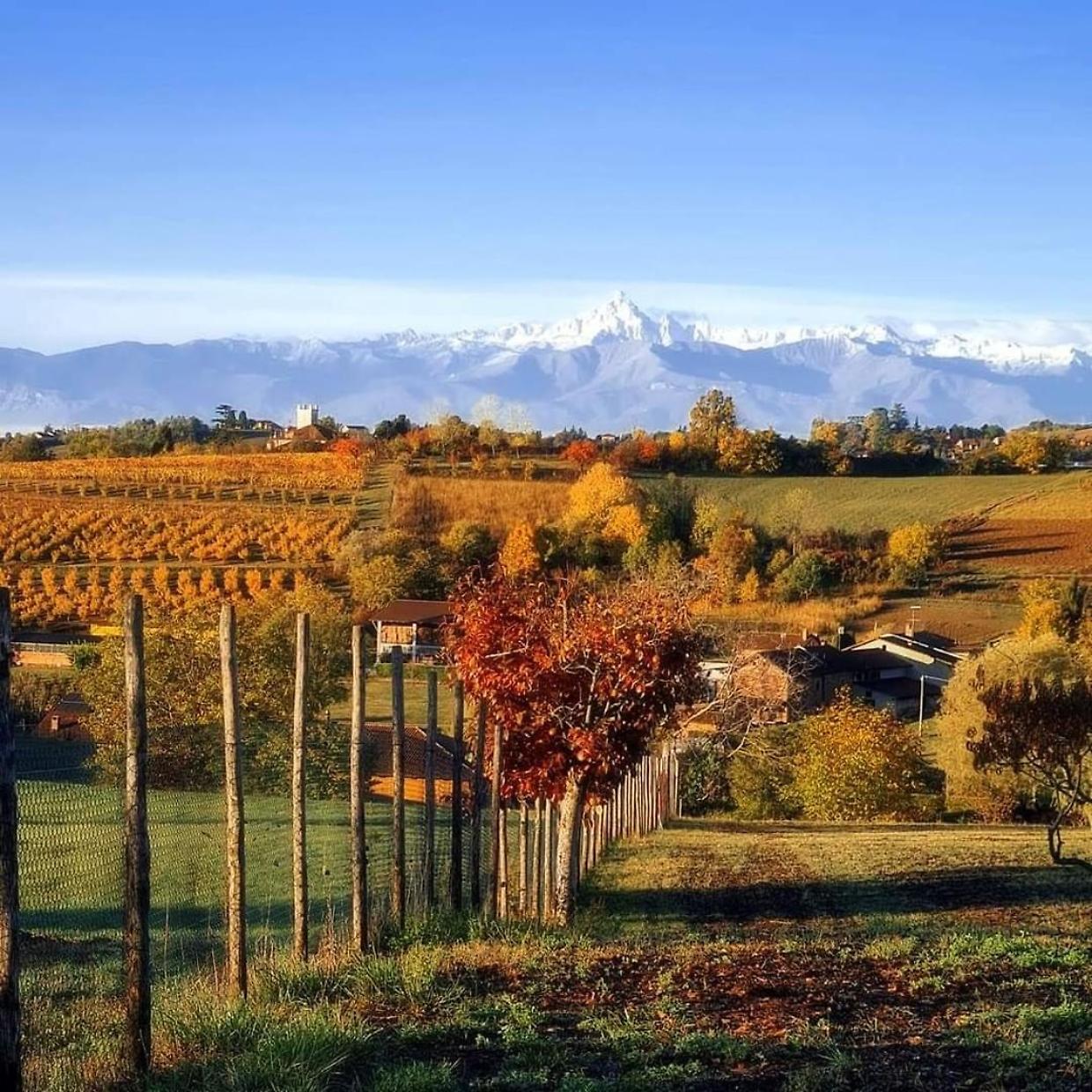 La collina chierese (Fonte Instagram)