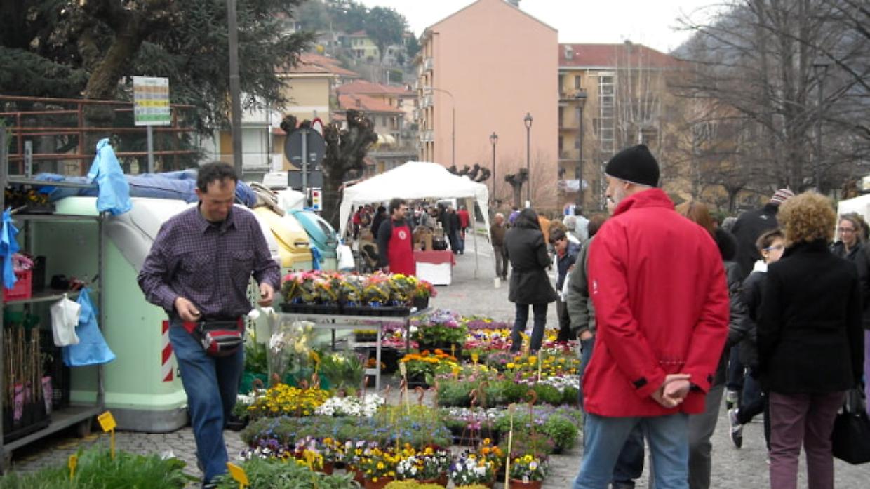 Vini, erbe e cavoli: tutte le fiere e le sagre del weekend di San Giuseppe