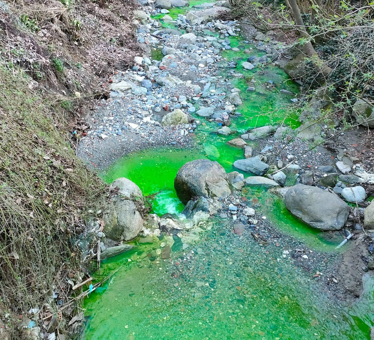 Il rio verde