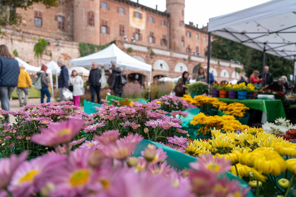 Il florovivaismo torinese è in pericolo, tra maltempo e nuove normative