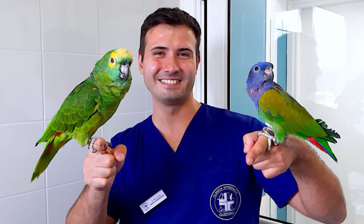 L'annuncio della scomparsa di DottorPet, il famoso veterinario social (Fonte Facebook)