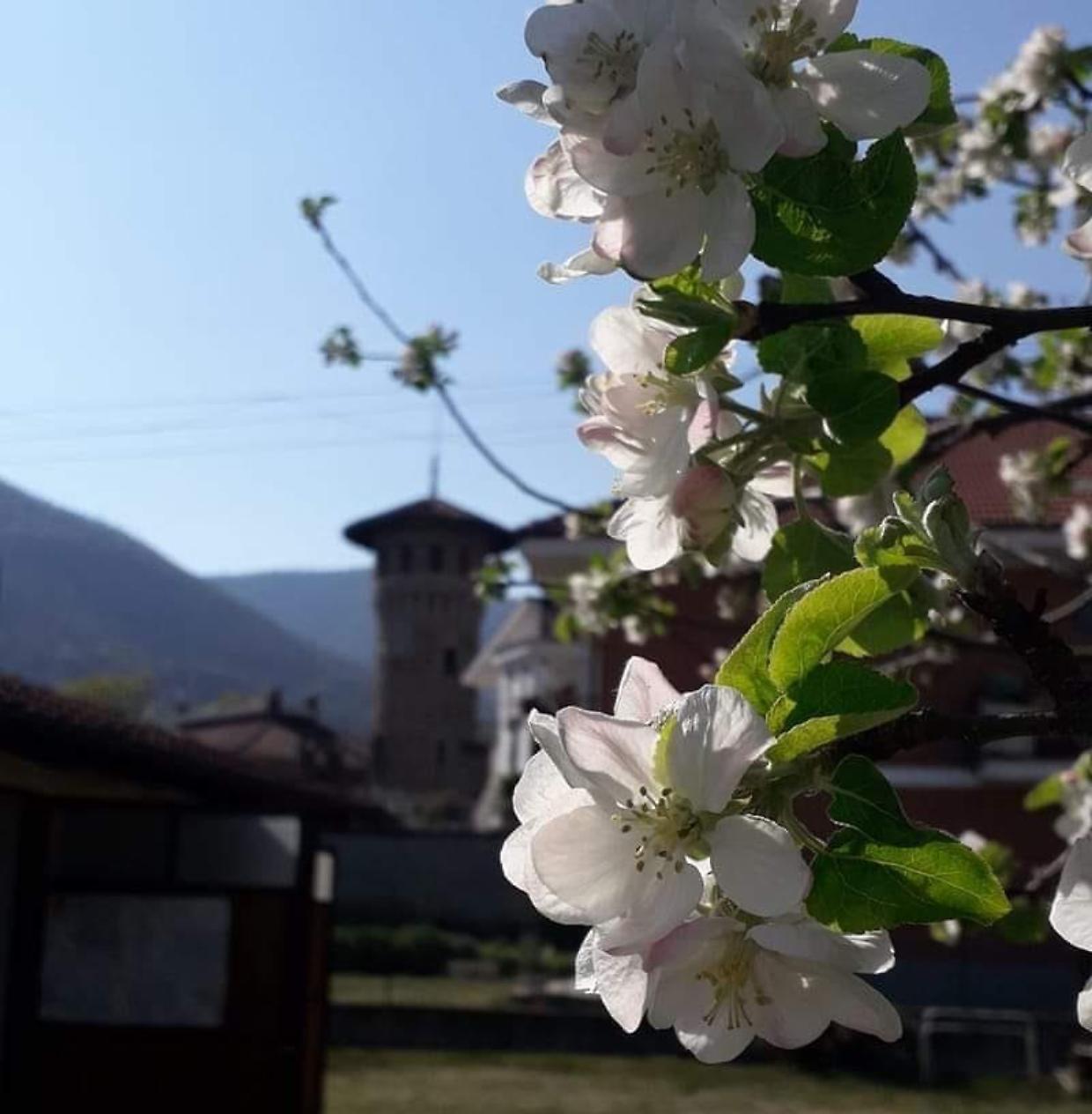 Il paese di Val della Torre che ospita la Sagra del Salame del Cinghiale (Fonte Facebook)