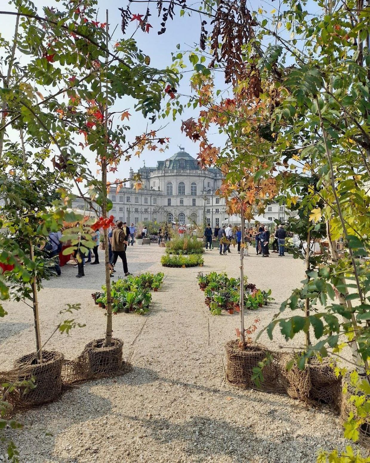 Palazzina di Caccia di Stupinigi (Fonte Instagram)