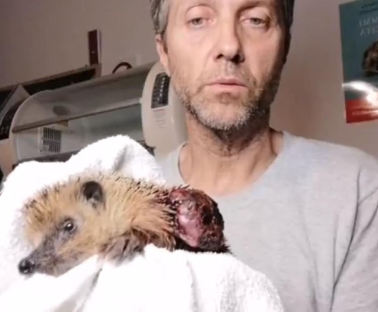 Uccidono un riccio a bastonate: tre ragazzini nei guai