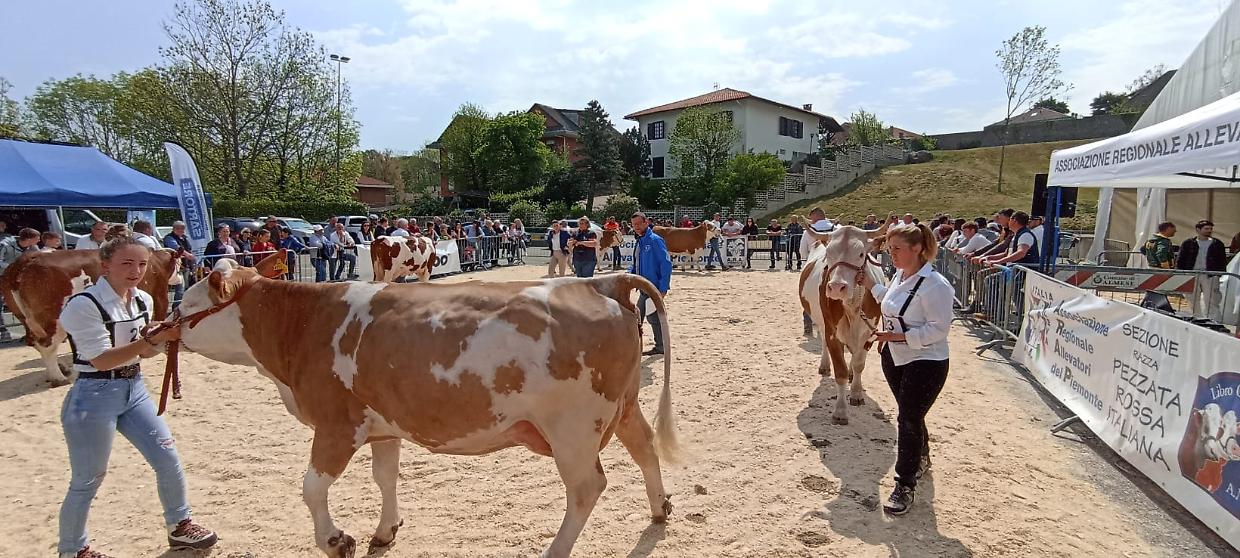 Fiera di San Giorgio