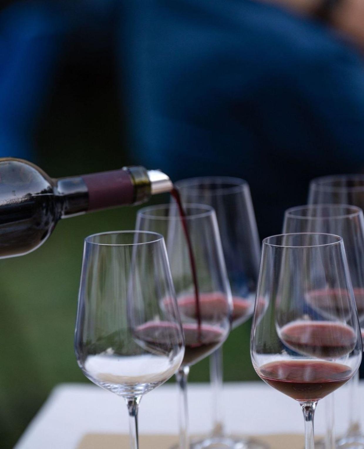 Vino e Cultura si Fondono nelle Strade di Pinerolo: Un Viaggio tra Calici e Storia