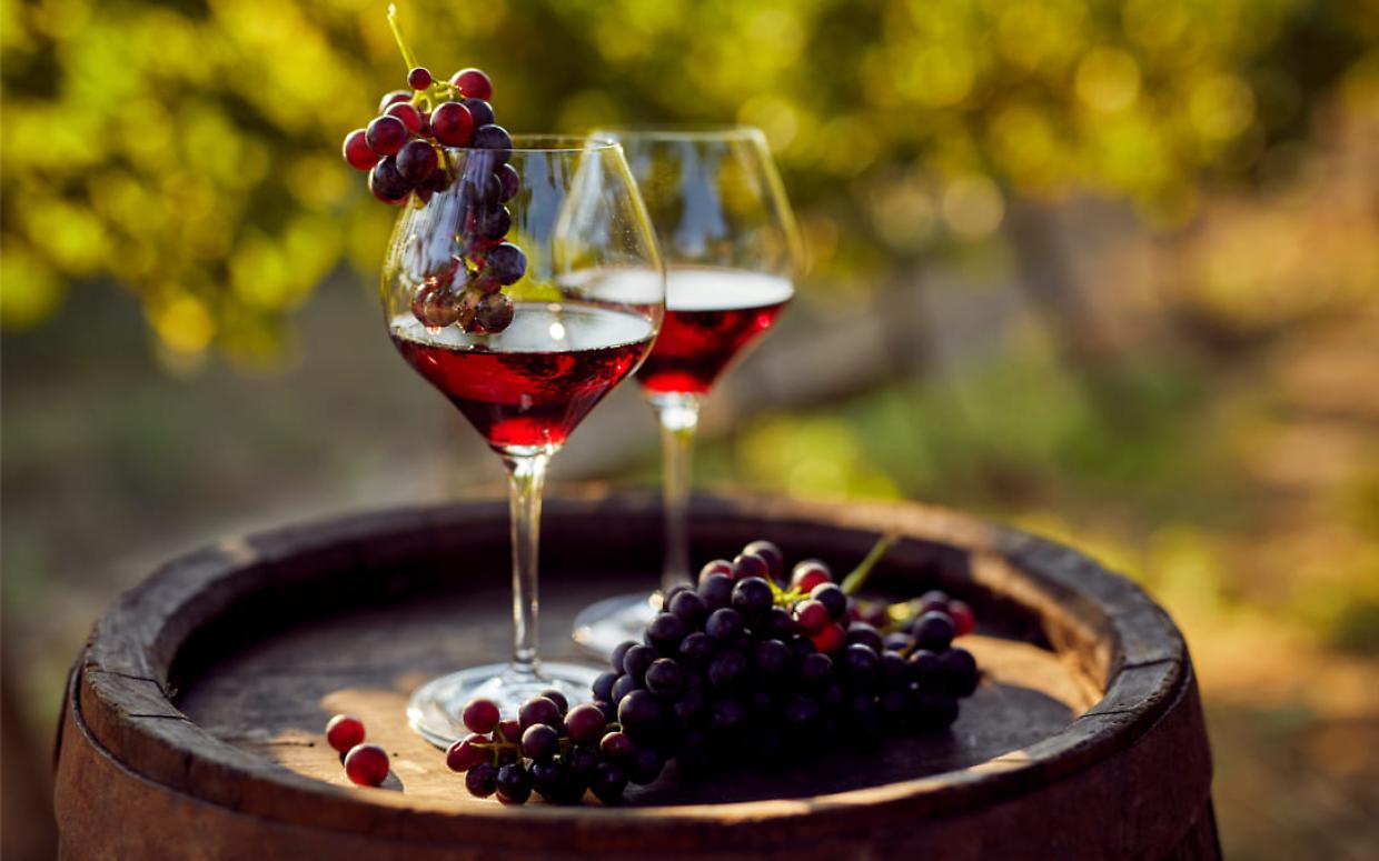 Il Barolo
