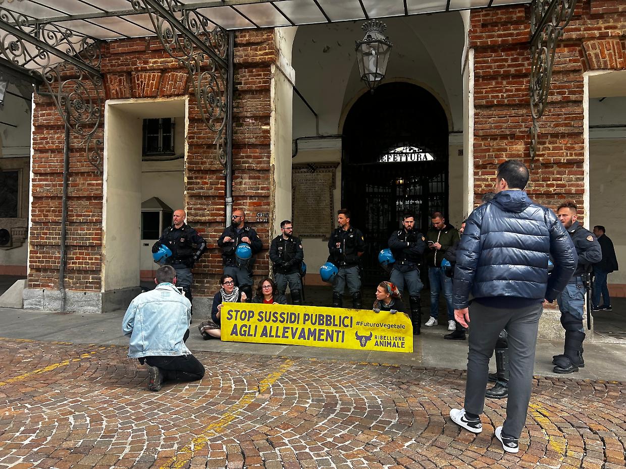 Letame contro la prefettura: blitz di animalisti in centro 