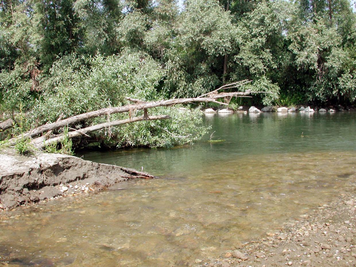 Lombriasco si prepara a riqualificare la riserva naturalistica della Confluenza del Po-Maira
