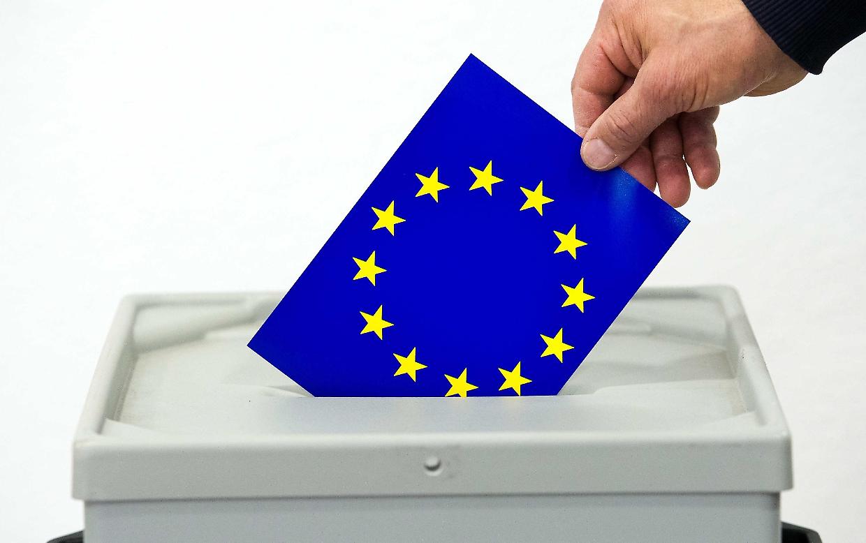 Al voto