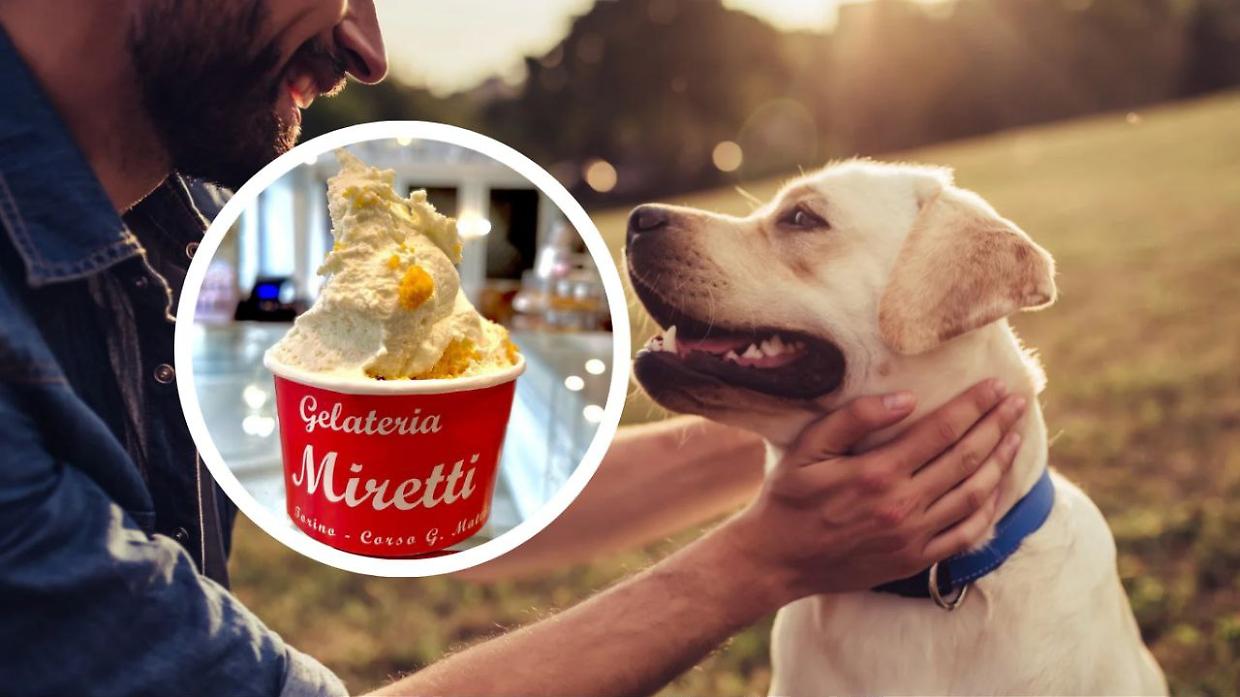 Torino, coppette gelato in regalo per i nostri amici a 4 zampe