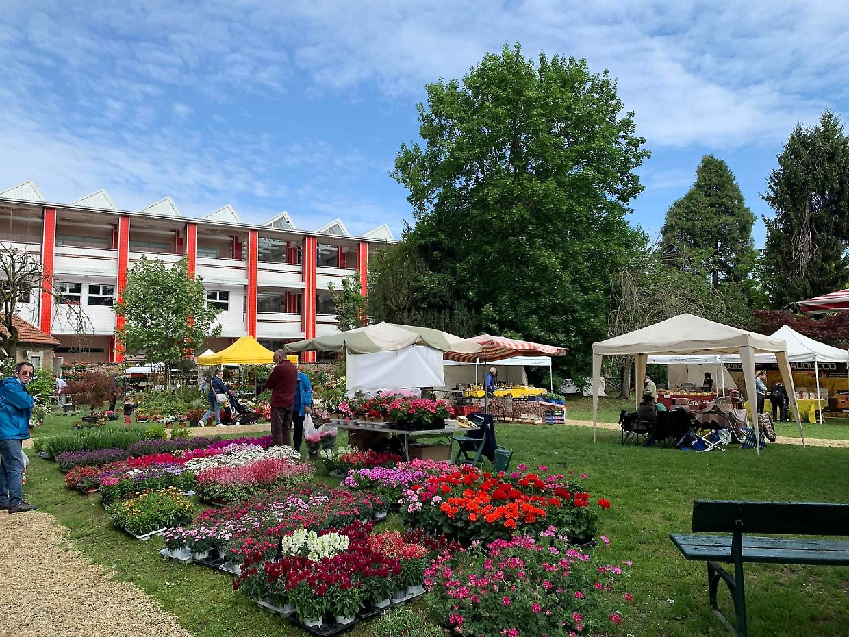 Alla scoperta della 30ª mostra mercato Fiori & Vini a Carignano: un weekend di colori e sapori
