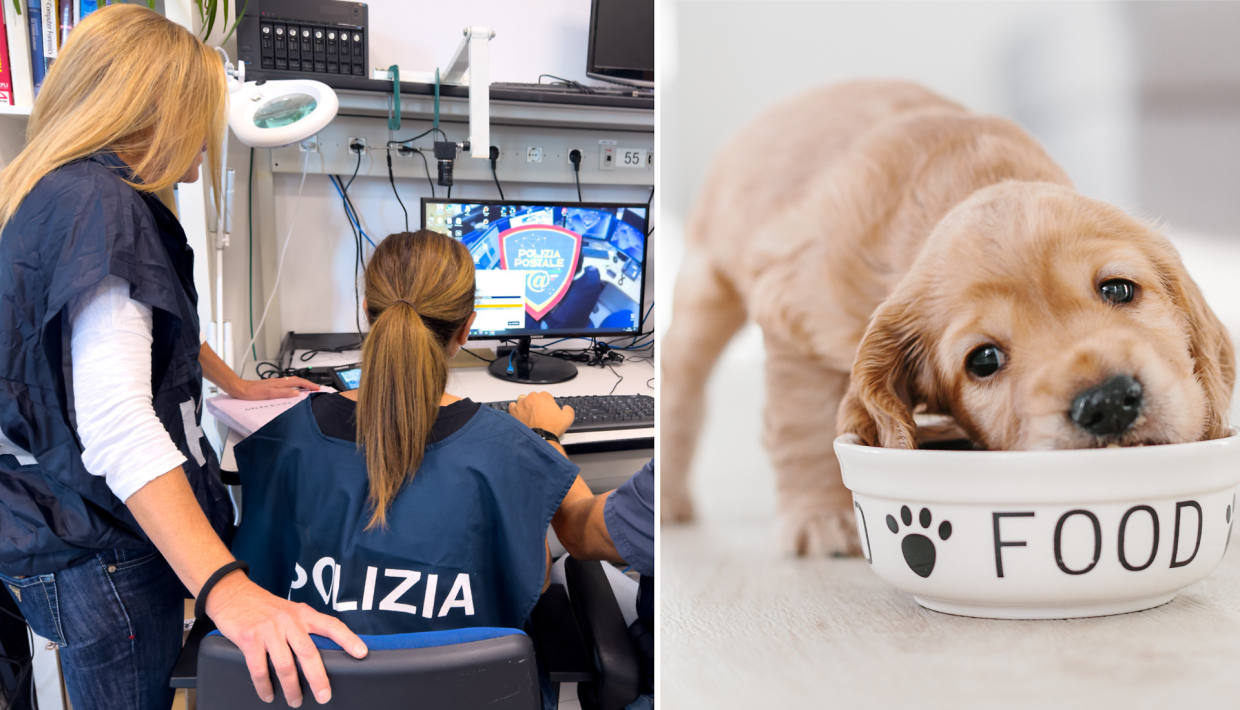 Ordina un computer e gli arriva del cibo per cani. Nei guai due corrieri e la fidanzata