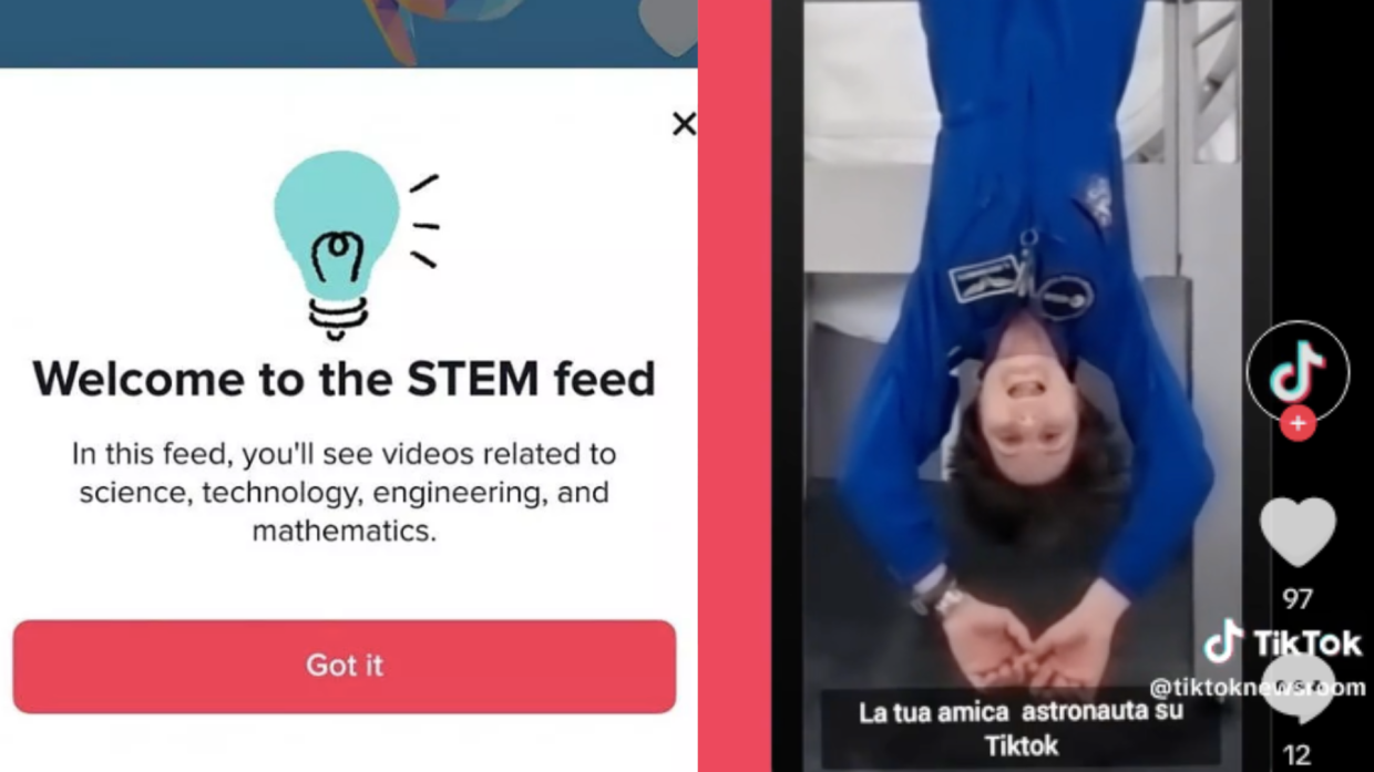 TikTok lancia Stem in Italia