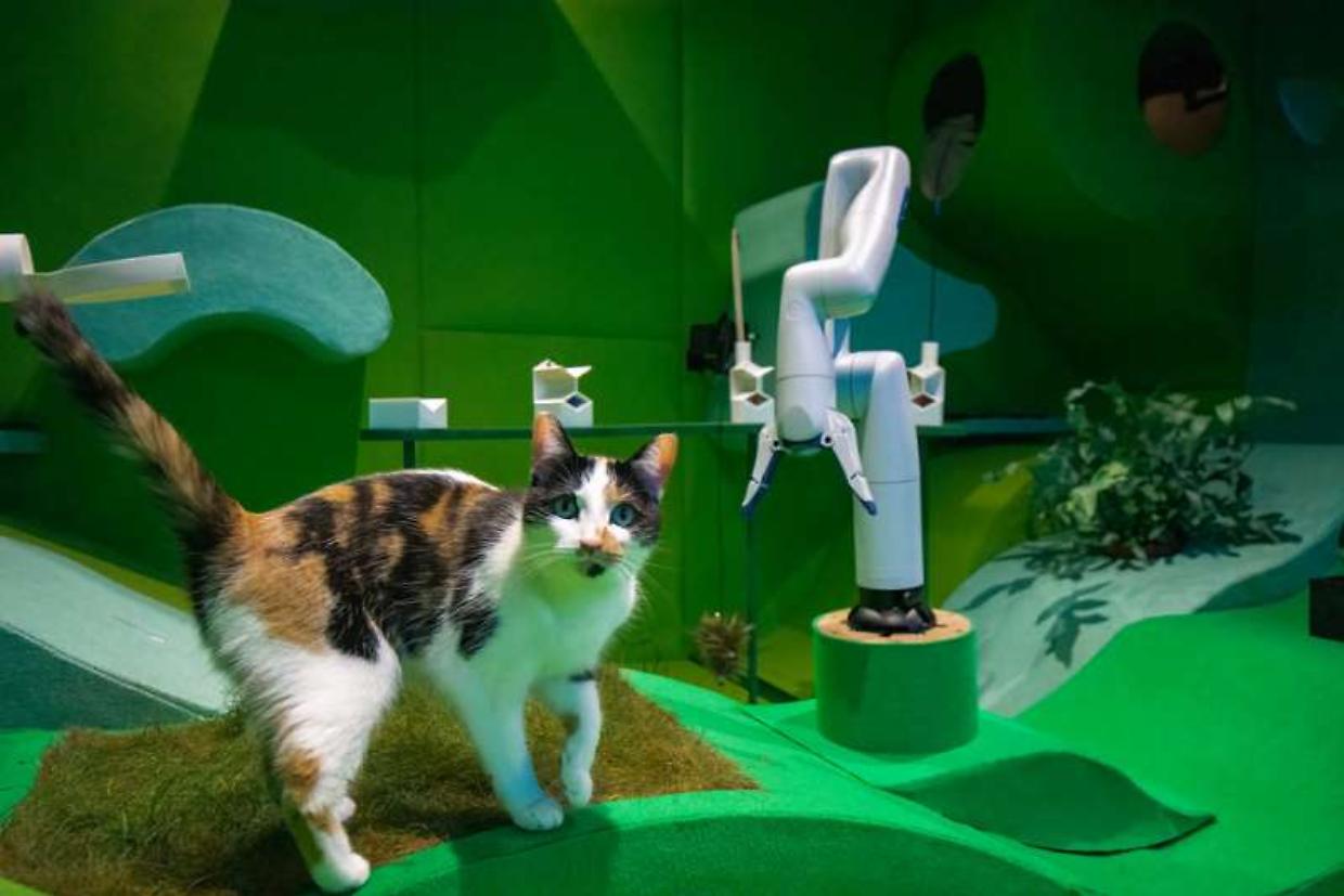 Il robot per gatti Cat Royale