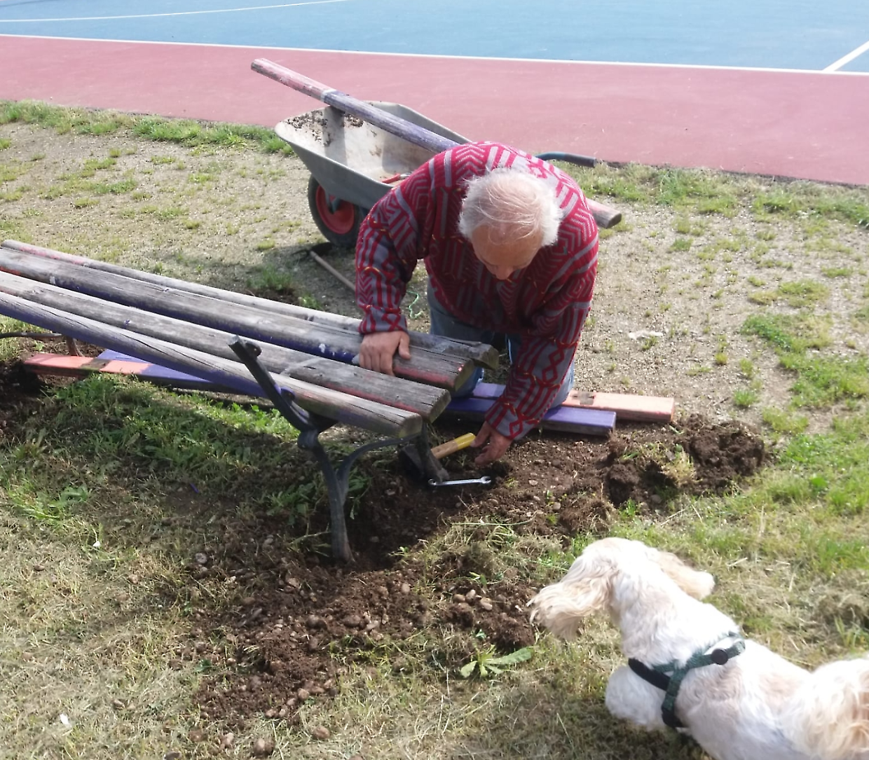 L'impegno del pensionato è tale che il Comune ha fatto una convenzione ad hoc per permettergli di lavorare nel "suo" parco