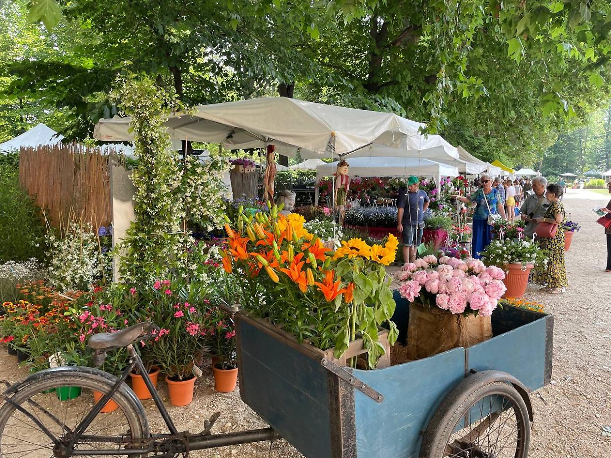 Colori e profumi: ai Giardini Reali c'è Flor Primavera