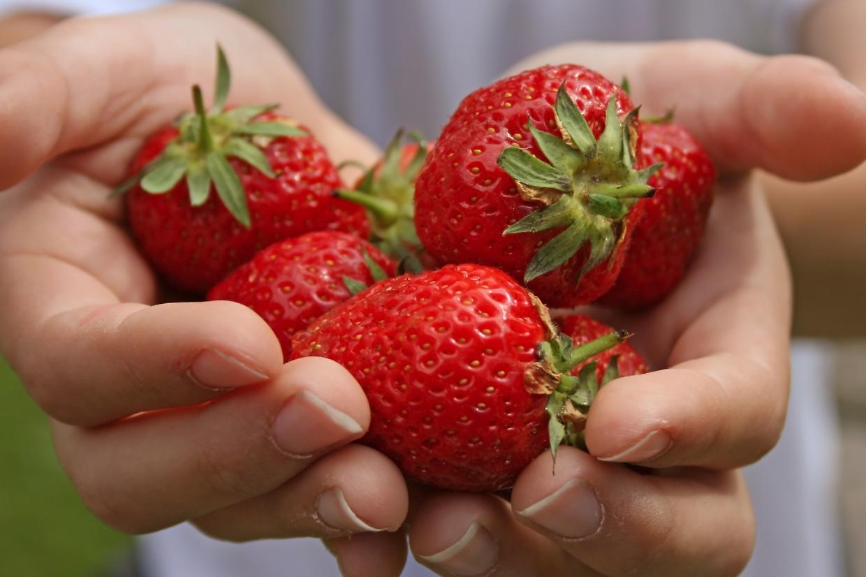 Fragole, asparagi, vino, cipolle e tanto altro tra le fiere e le sagre del fine settimane