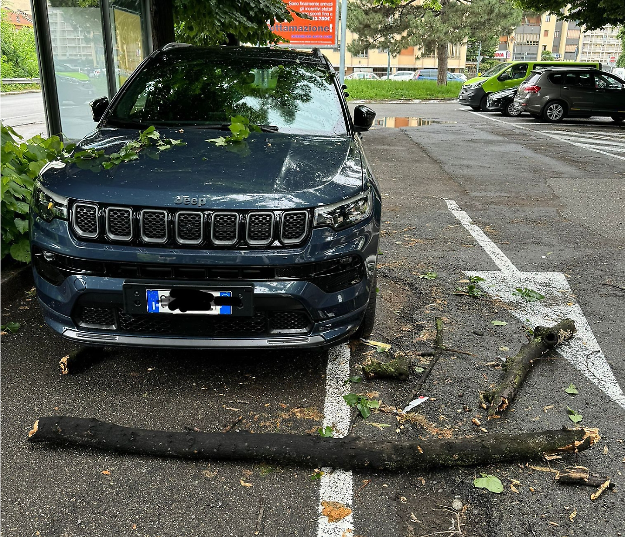 Un grosso tronco cade sopra una Jeep