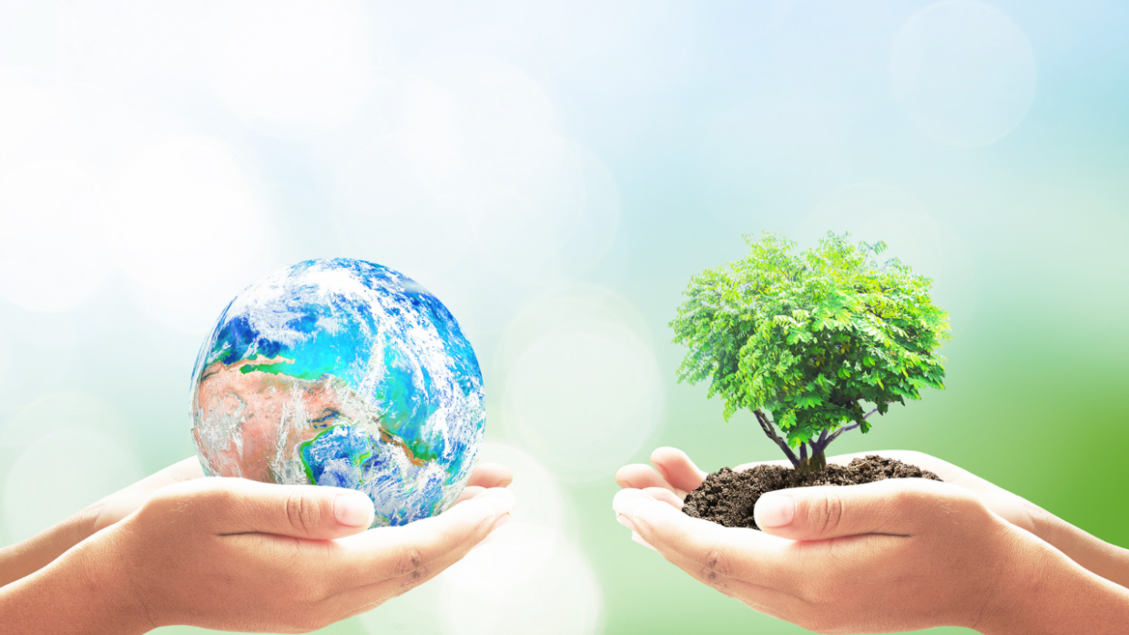 Giornata Mondiale dell'Ambiente 2024:  un ricco programma ad Avigliana