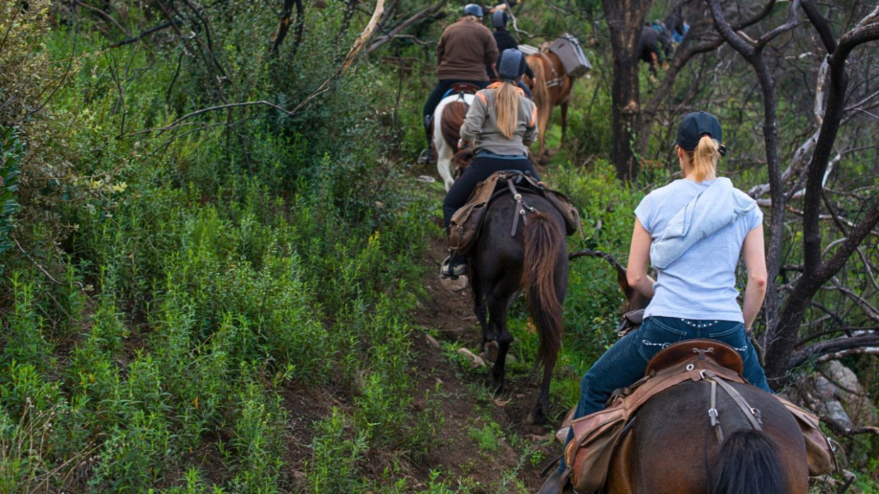 Trekking a Cavallo in Valsusa: Un'Avventura tra Natura e Storia 