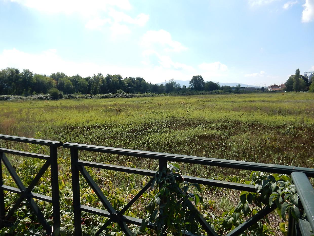  Area Borsetto, 7 anni di buio