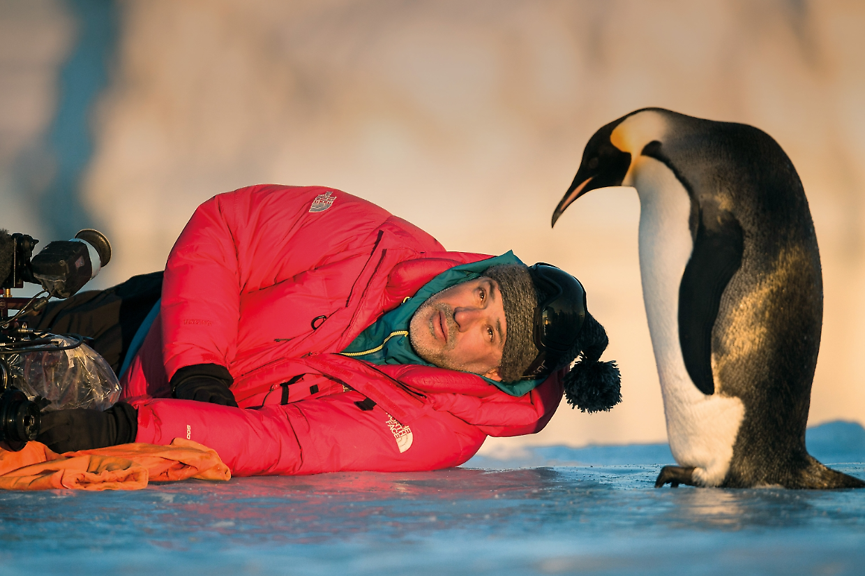 &laquo;Eravamo in mezzo al nulla e i pinguini sono venuti da noi&raquo;