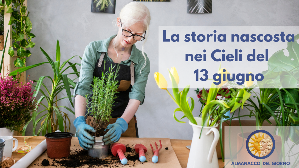 Vivi la Giornata Internazionale dell'Albinismo: consigli e iniziative per il 13 giugno